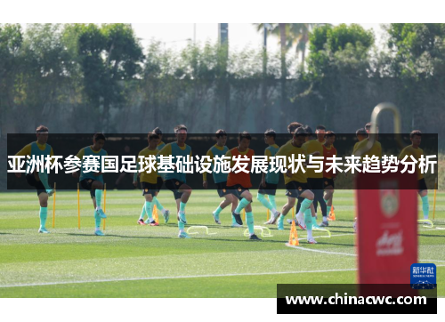 亚洲杯参赛国足球基础设施发展现状与未来趋势分析