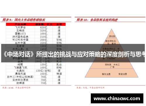 《中场对话》所提出的挑战与应对策略的深度剖析与思考 《中场对话》所提出的挑战与应对策略的深度剖析与思考