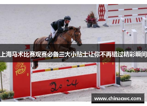 上海马术比赛观赛必备三大小贴士让你不再错过精彩瞬间