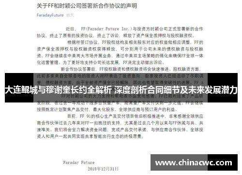 大连鲲城与穆谢奎长约全解析 深度剖析合同细节及未来发展潜力