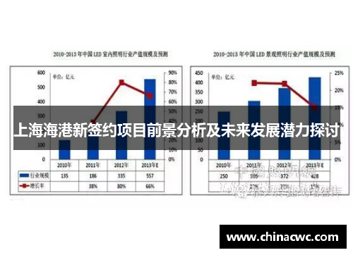 上海海港新签约项目前景分析及未来发展潜力探讨