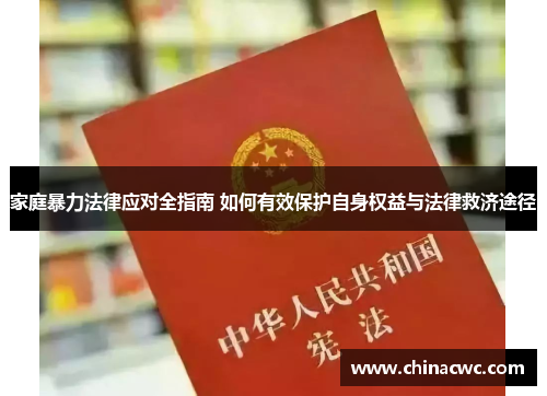 家庭暴力法律应对全指南 如何有效保护自身权益与法律救济途径