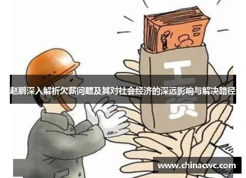 赵鹏深入解析欠薪问题及其对社会经济的深远影响与解决路径