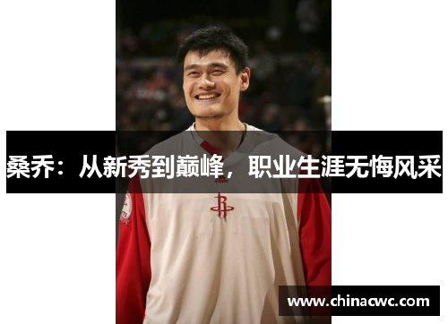 桑乔:从新秀到巅峰,职业生涯无悔风采 桑乔:从新秀到巅峰,职业生涯无悔风采